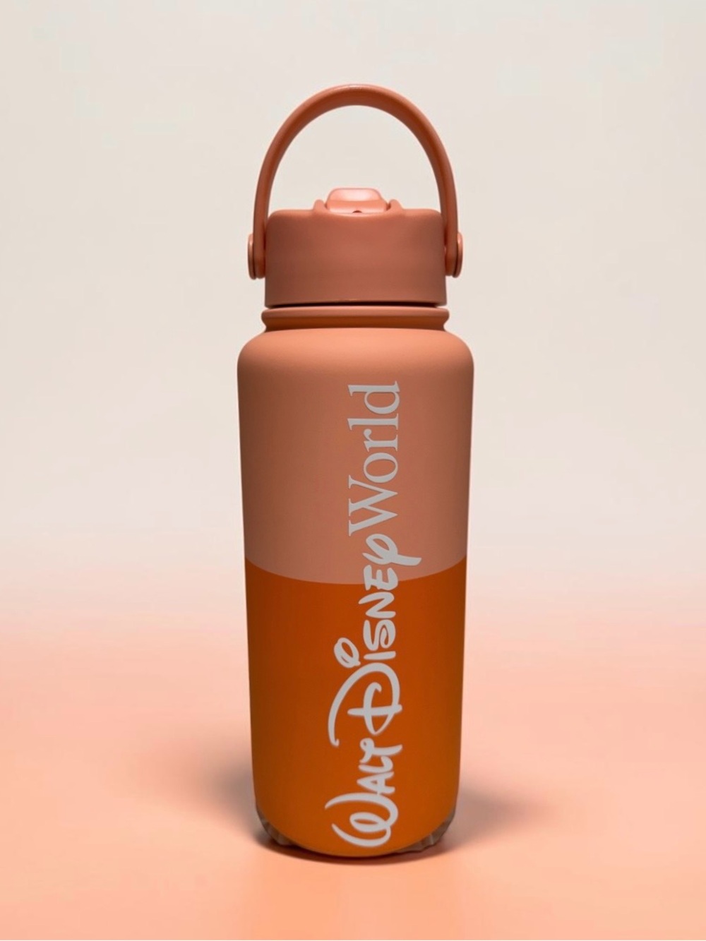 New Disney Parks 2026 Logo Mania Fantasyland Feels 1 Liter Stainless Water Bottl